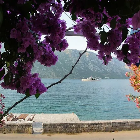 Penthouse Stoliv: Beachfront Spa Villa with Private Jetty Kotor Exterior photo