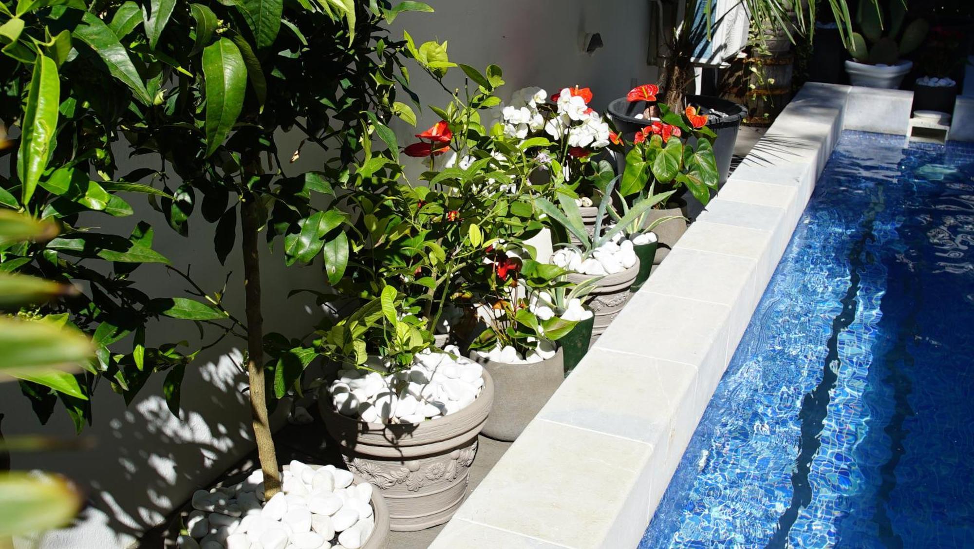 Penthouse Stoliv New Spa-pool Is Located 5m From The Sea, Exclusive Terrace,private Jetty Wih Sunbeds, Pebble Beach, Secluded Location Total Area 375m2 At Your Disposal *